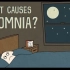 【Ted-ED】为什么你会失眠 What Causes Insomnia