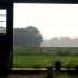 【自然/治愈】农场的雨天与雨声（周末的放松时间）