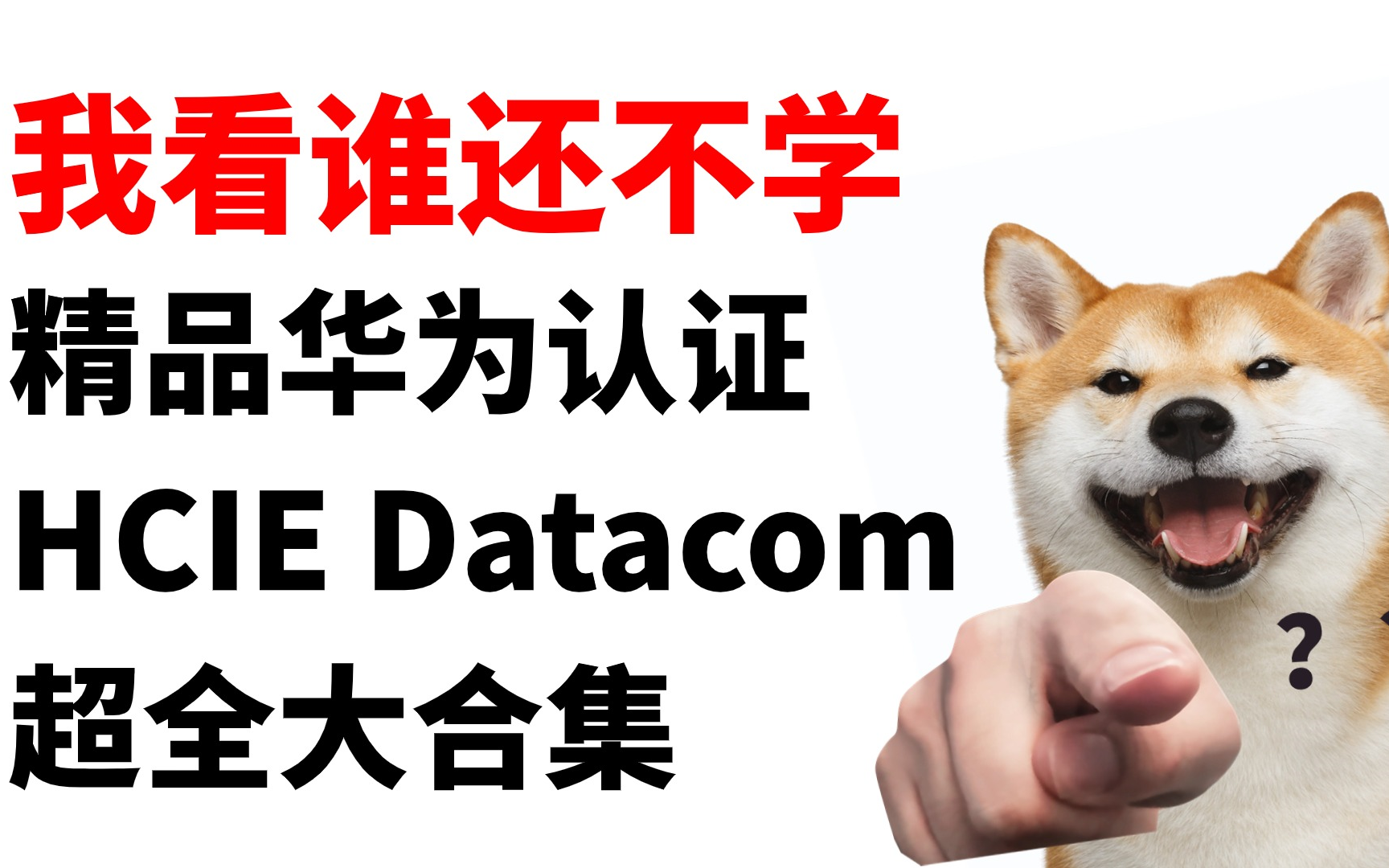 【0基础小白必备】专业大佬精讲全套华为认证HCIE Datacom大合集，想要快速入门看这一套就够啦！