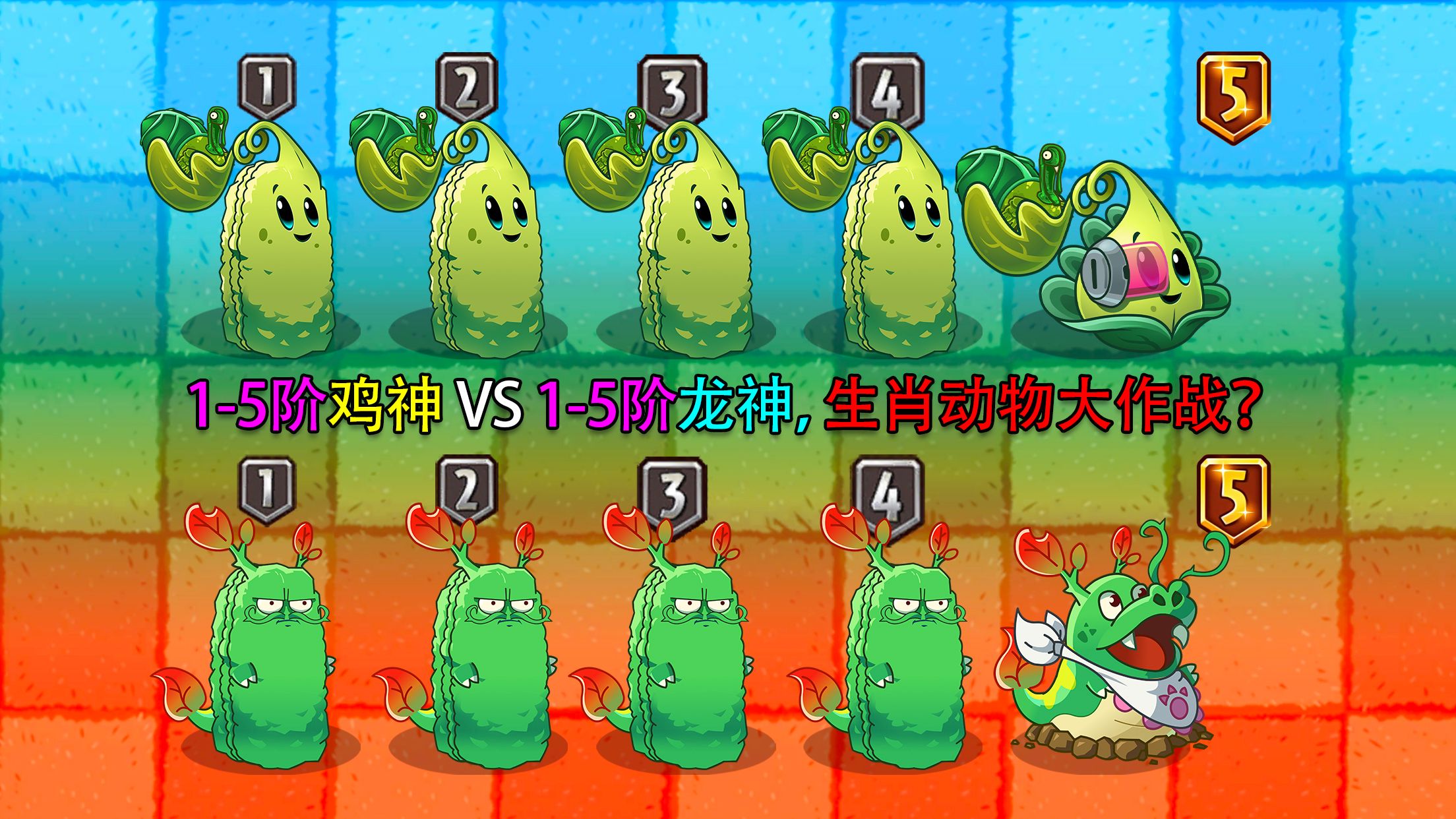 1-5阶鸡神 VS 1-5阶龙神，2个强力生肖植物差距有多大？