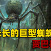 非洲1米多长的巨型蜘蛛，吐丝就能缠住人类，还能咬人分泌剧毒