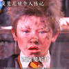 爆破鬼才，西莫·斐尼甘个人传记