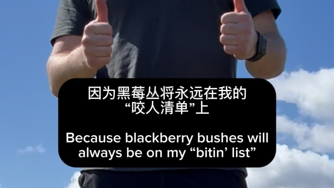 割除黑莓丛