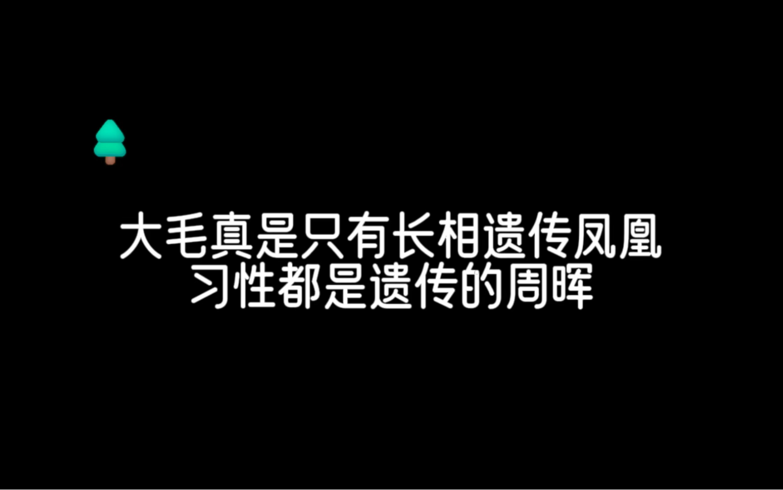 周晖：没想到我家大毛还有这一面，他也不是只会吞人的…