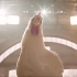 肯德基创意CG广告：一只会踩点的鸡