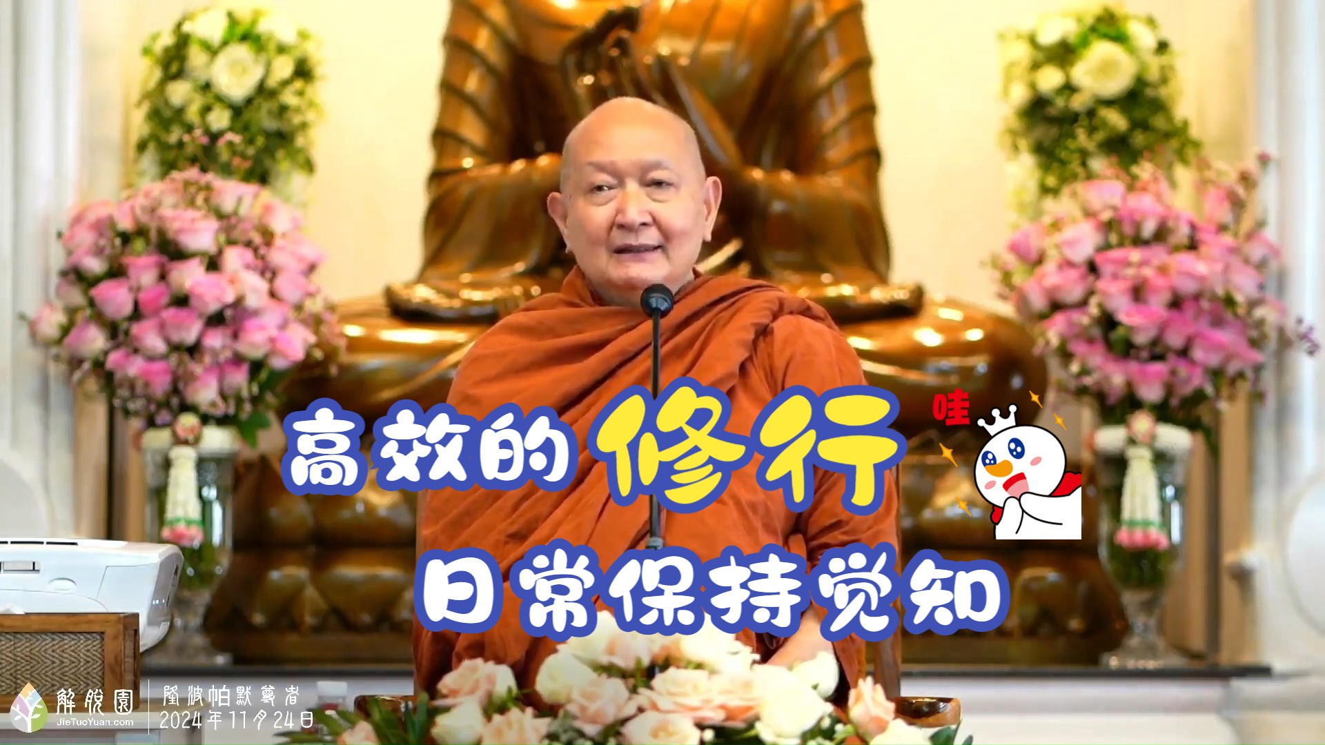 高效的修行，日常保持觉知——隆波帕默尊者2024年11月24日 06:17-24:16