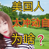美国人为啥老是污蔑中国？听听在美华人怎么说，听完你就明白了