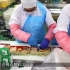 日本工厂是如何做预制菜料理包的？实拍全自动流水线，怪不得便当那么便宜