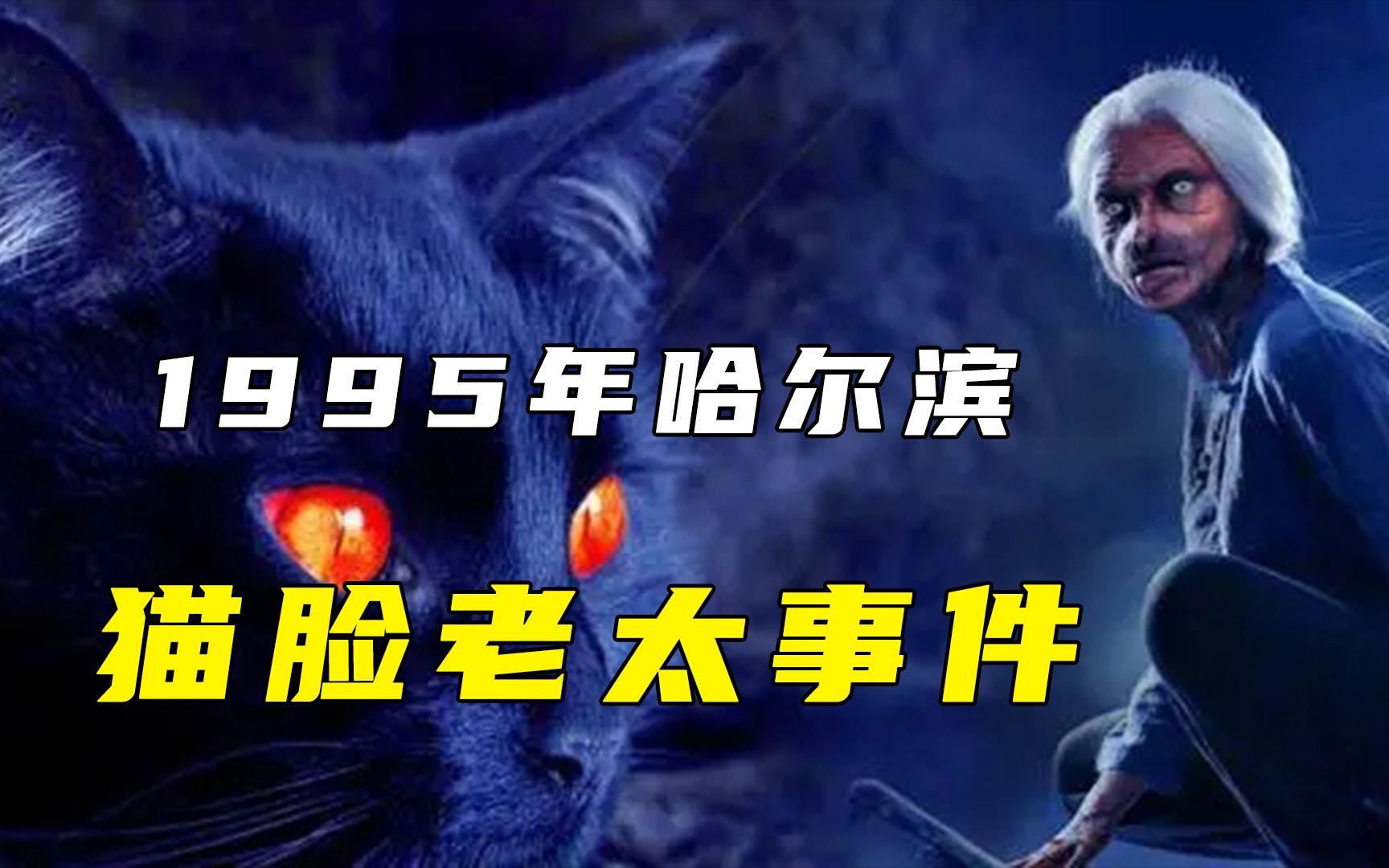 1995年震惊全国的哈尔滨猫脸老太事件!