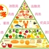 平衡膳食宝塔、营养饮食金字塔，健康是最好的财富