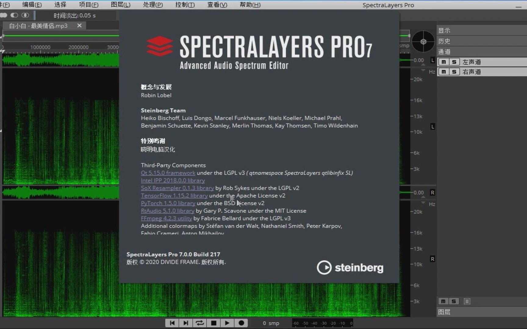 instaling MAGIX / Steinberg SpectraLayers Pro 10.0.0.327