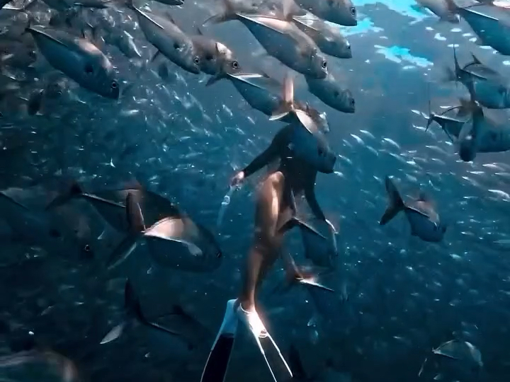 Diving｜If the surface is too crowded, what's the harm in giving him three points? Some stories are hidden under the sea! #extreme sports #swimming #underwater world #legend of the blue sea