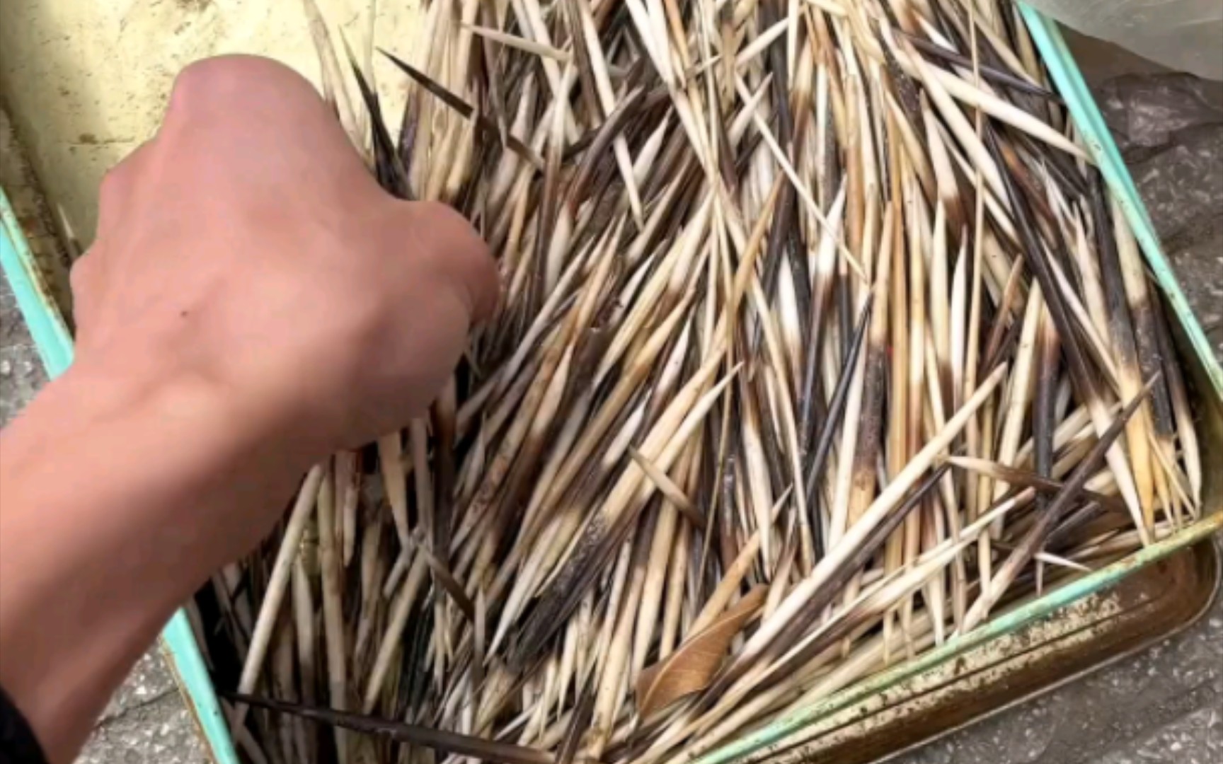 云南人都出来这是不是云南的牙签给我解释一下