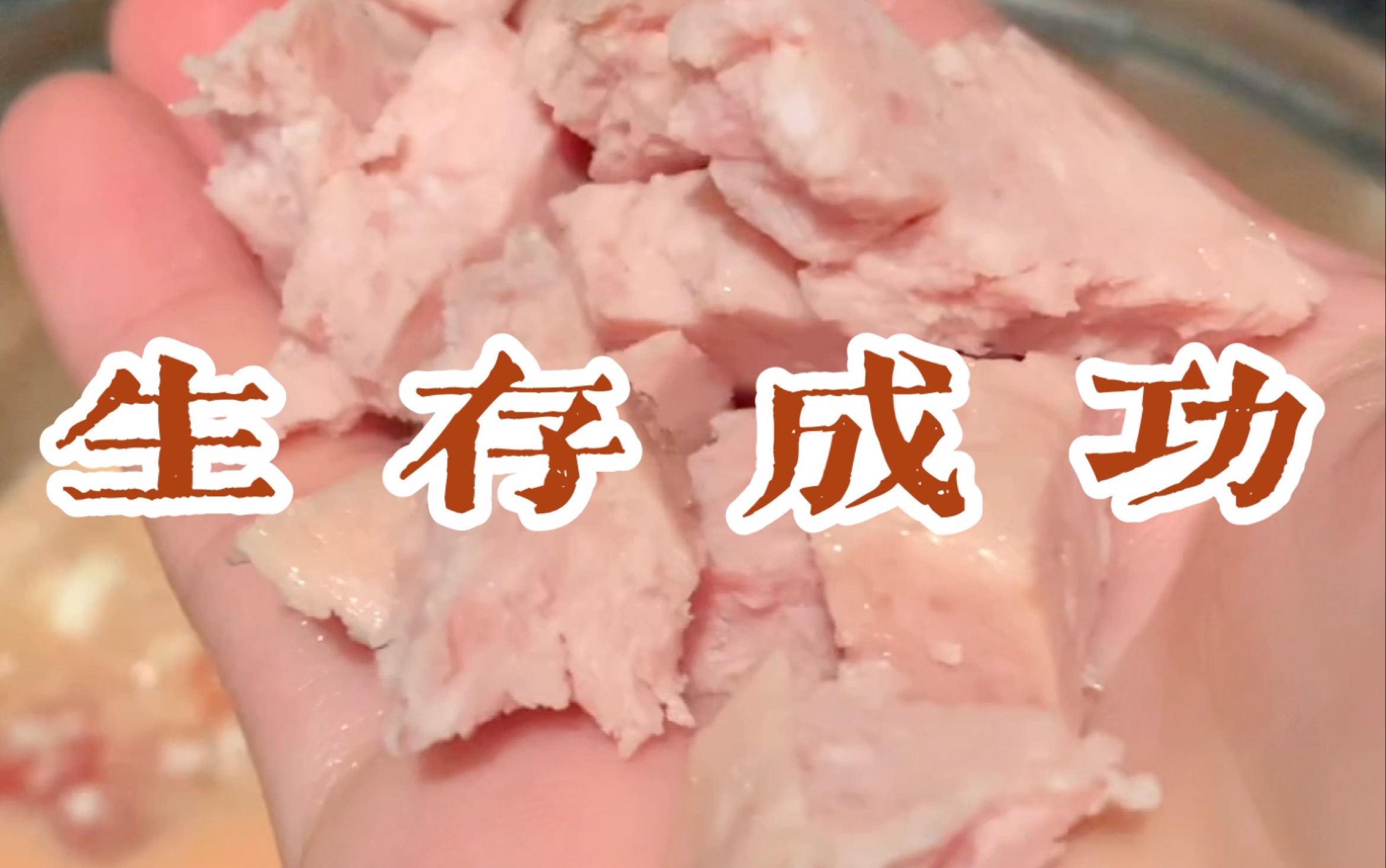 【生存日记】窜稀豆腐蛋花汤哔哩哔哩bilibili