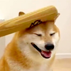 “轻轻敲醒沉睡的心灵