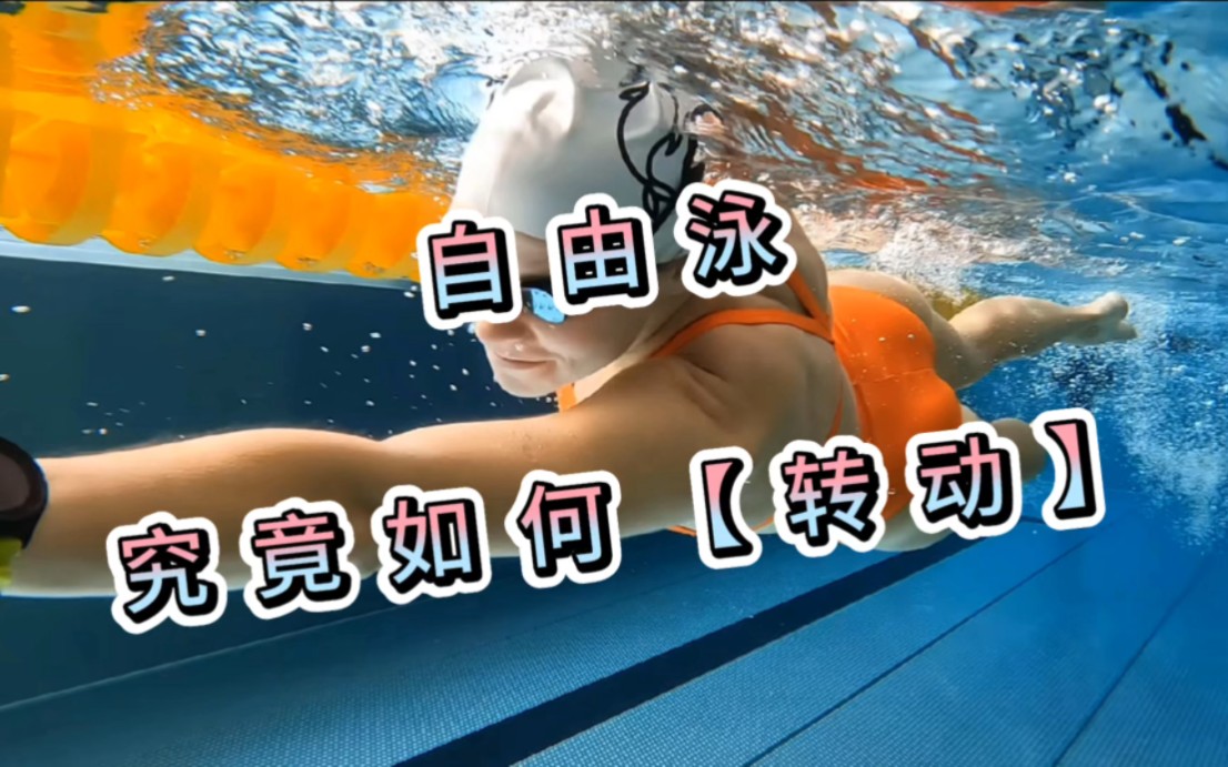 自由泳究竟如何【转动】