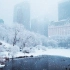 Nomadic Ambience / 漫步在大雪天的曼哈顿中央公园