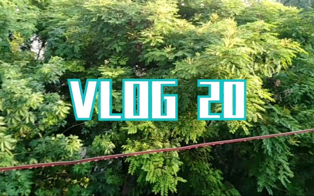 【VLOG】雨季来临哔哩哔哩bilibili