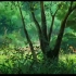 【剪辑】宫崎骏笔下的夏天是我能想到最美好的夏天