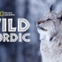 国家地理：野性北欧 1080P 中英双语字幕 Wild Nordic 全5集