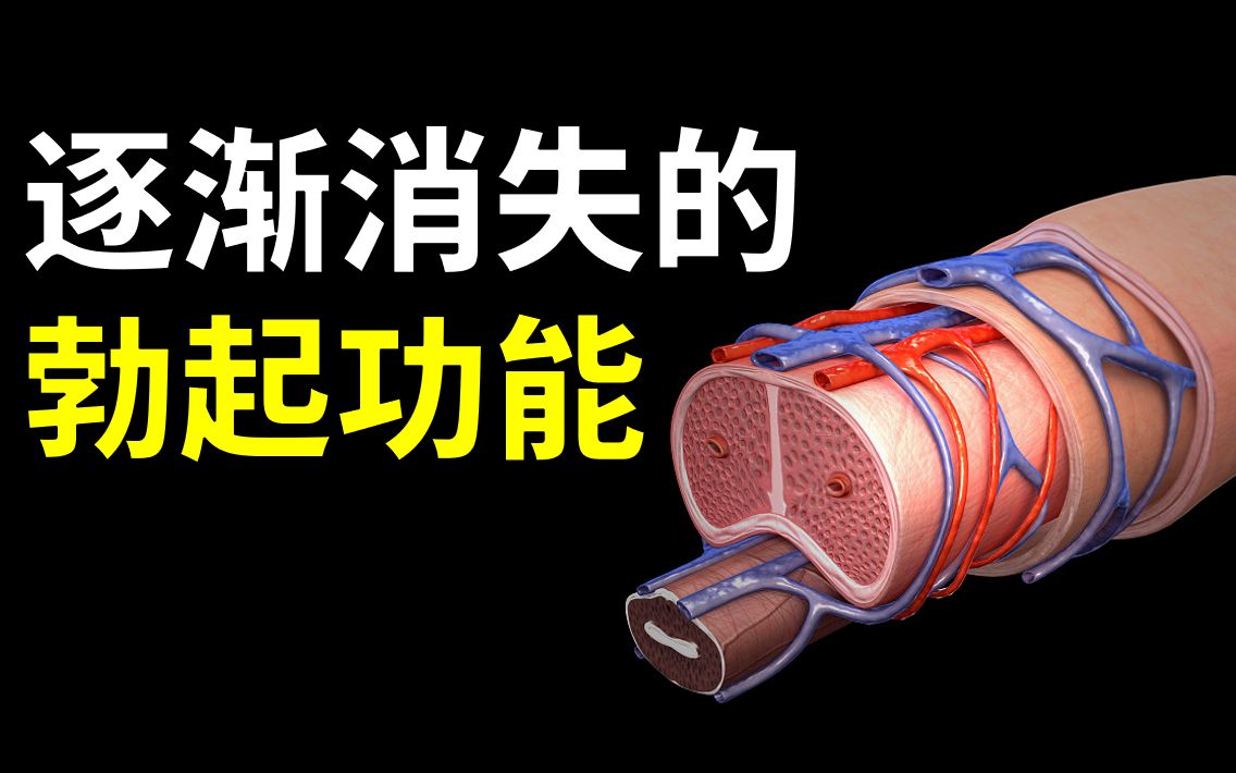 关于全球的男人都在冲，但唯独10%冲过头这件事【疾病4】