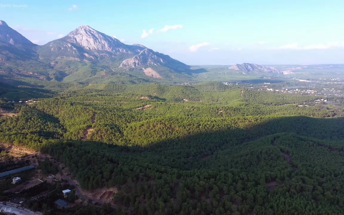 风景舒寻竹屈杉松截闪