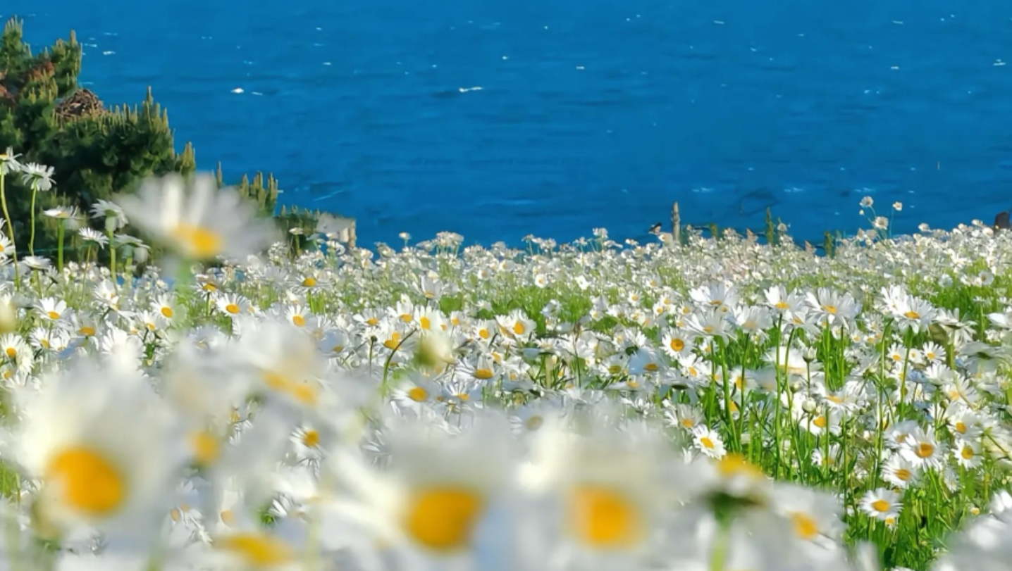 “就是喜欢这种感觉，安静，自由，不被打扰～”