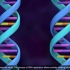 DNA复制模拟动画2