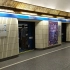 圣彼得堡地铁Pedrogradskaya站的硬核屏蔽门