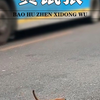 男人无意间救下一只挣扎的黄鼠狼，没想到对方居然又救了他一命 #人与动物发生感人的故事 #万物皆有灵性 #黄鼠狼