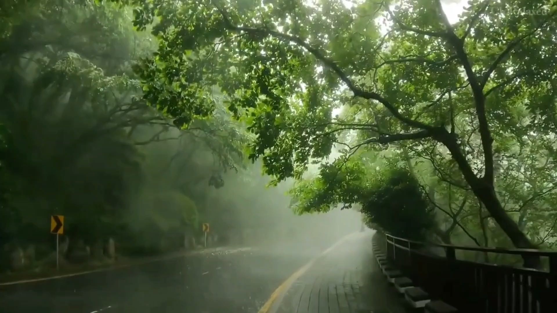 “你一言不发，偏偏这雨也越下越大”