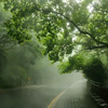 “你一言不发，偏偏这雨也越下越大