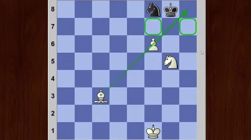 兵的杀招及实例国际象棋教学