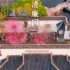 在南昌，我寻觅到一座隐藏深处的江南园林，而桃花，已盛开！青云之上，满园春色关不住！