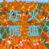 狐狸为了吃鸡能有多拼？Minecraft沙雕试验