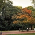 [Vanderbilt University]秋天的范德堡大学，和它边上的街区