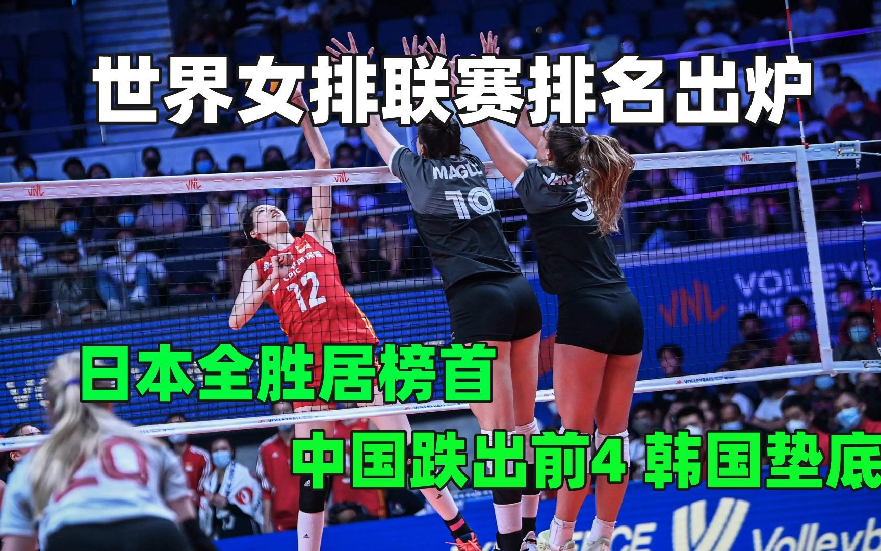 世界女排联赛排名出炉！日本全胜居榜首，中国跌出前4，韩国垫底