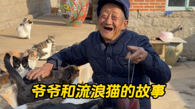 爷爷：我不要小猫了，我不喂了