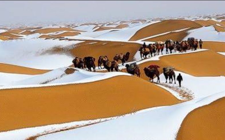 被称"地狱"的沙漠再次下雪,专家:以后撒哈拉或将变得成森林!