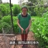 朴门永续-自助花园创建被动式雨水系统