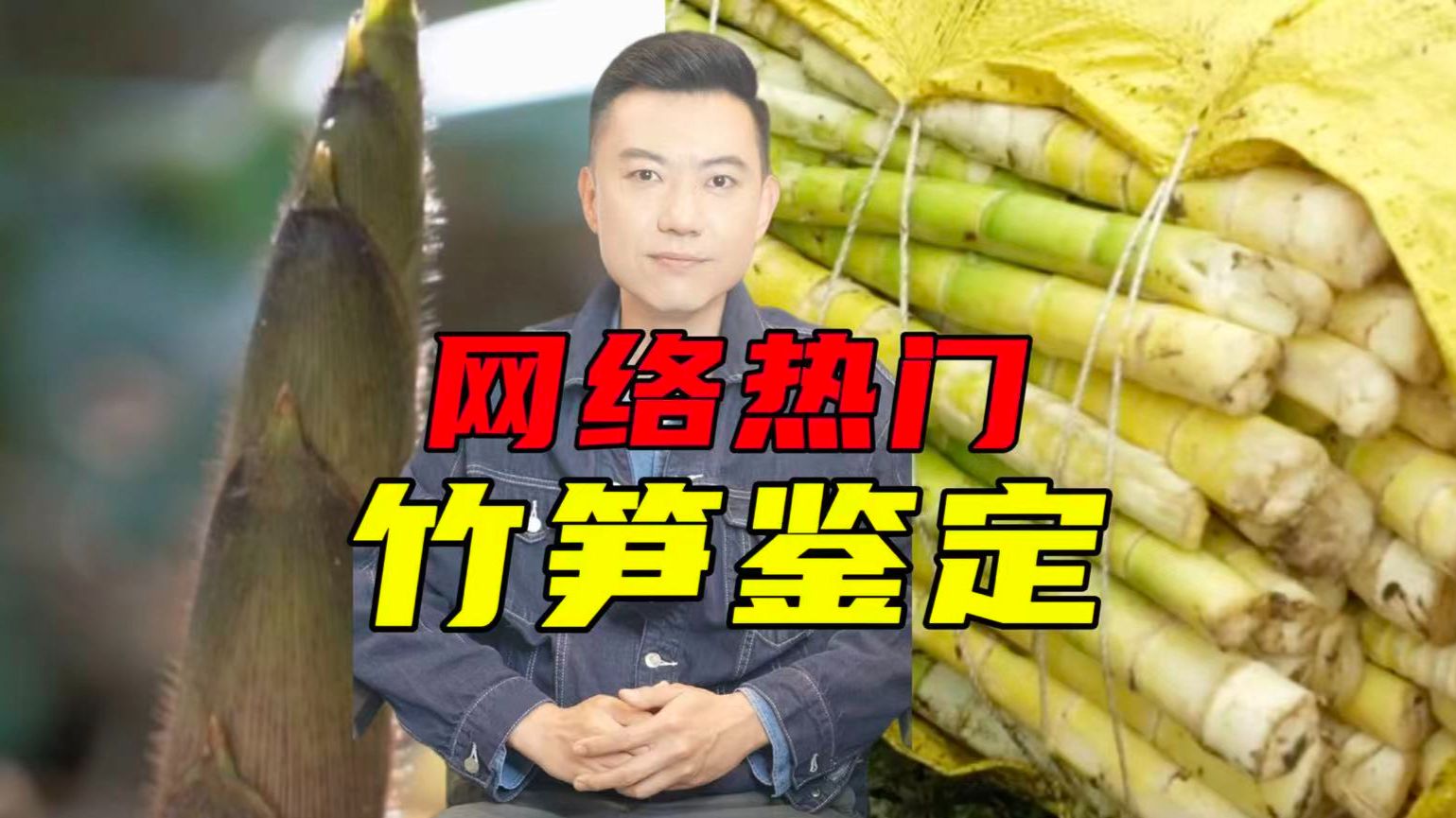 网络热门竹笋鉴定！懂得多是因为刚去深山“夺笋”了！【主播说三农】