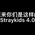 【Stray kids】名场面合集4.0搞笑向老粉背诵新粉学习！！