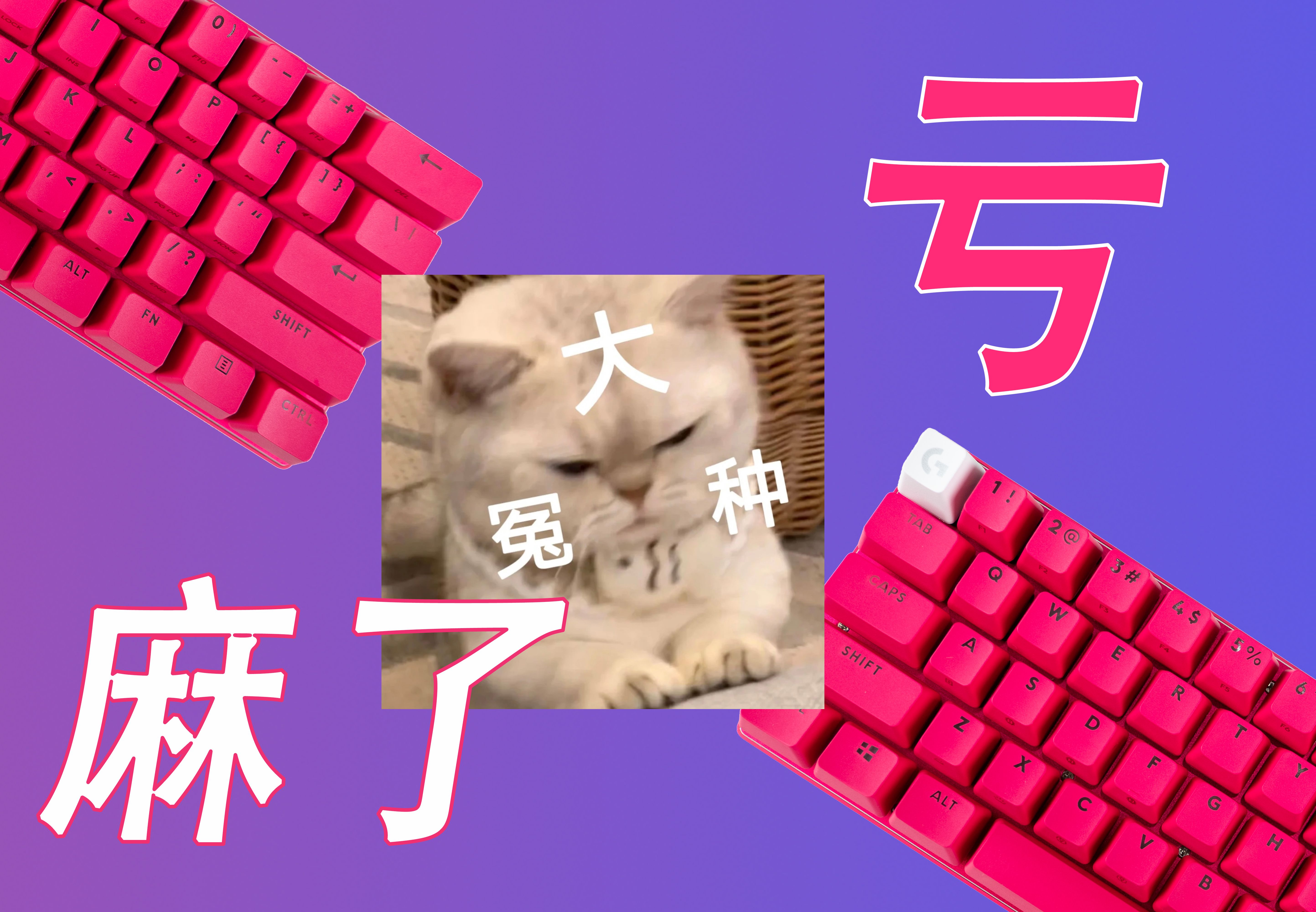 怒亏1000元！千万不要买罗技PRO X 60!!