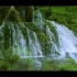 山涧中的欢乐：瀑布-清澈的山泉水-新鲜的绿植，在柔美的钢琴声中让疲惫的身心得以恢复和放松！！！