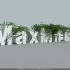 藤蔓生长插件Guruware Ivy v0.975 For 3dsmax重点参数设置