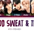 【防弹少年团BTS】防弹少年团 - Blood Sweat & Tears ( - ) [Color Coded 歌词/