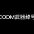 CODM武器绰号D8期