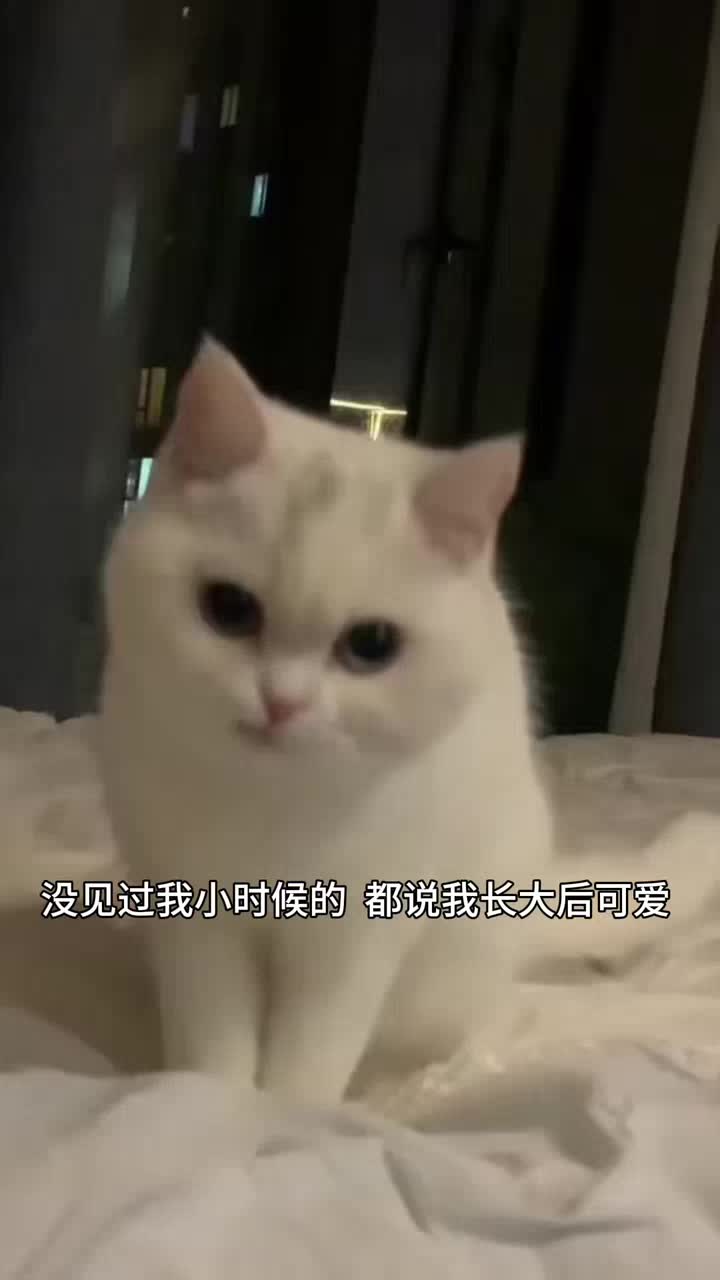 没看过我小鼻嘎时期的都说我现在可爱