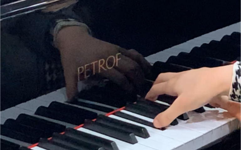 试琴 PETROF（佩卓夫）世界五大帝王钢琴之一 七尺三角纯原装手工琴