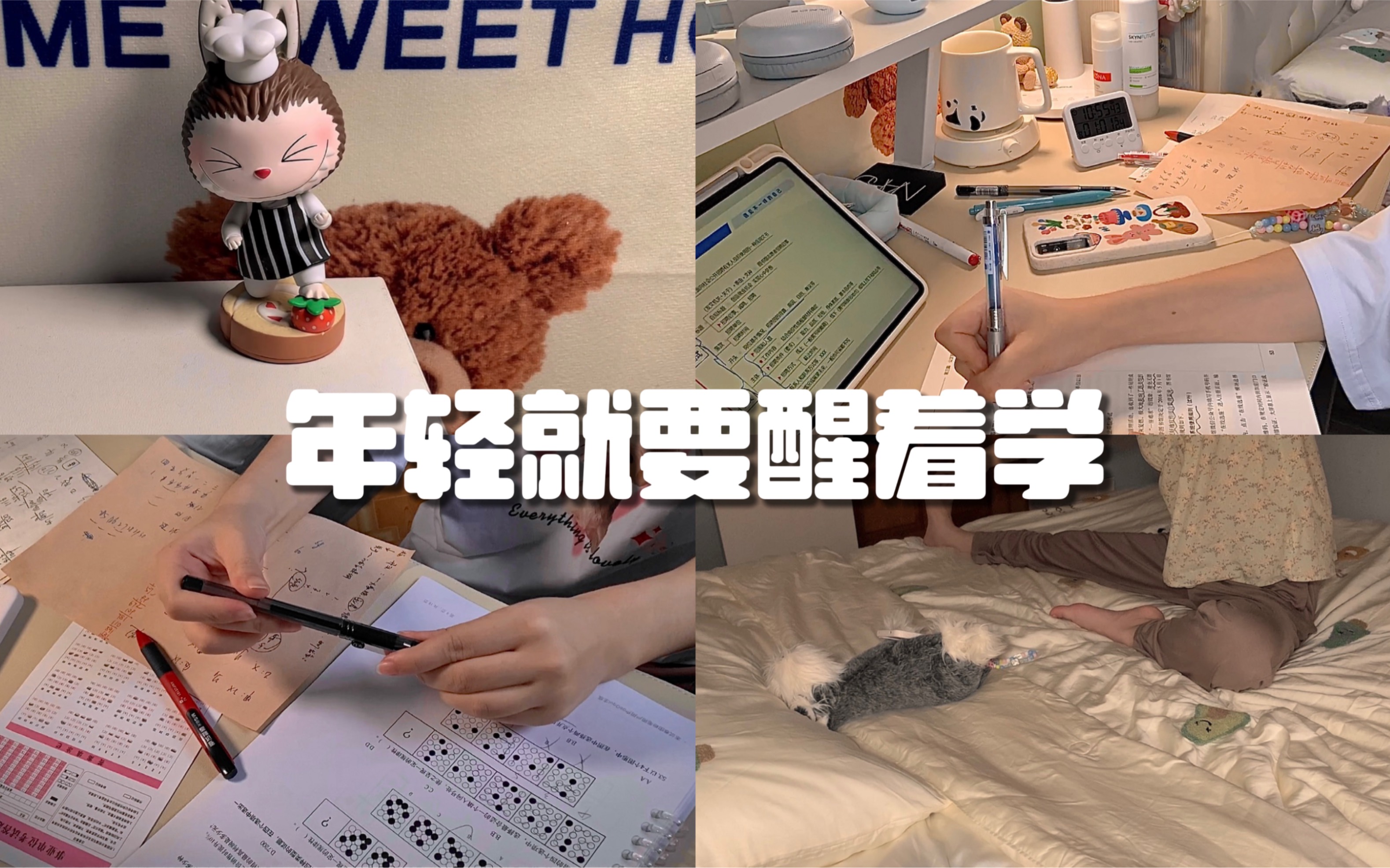 Study Vlog 6 10 22 00 pinterest